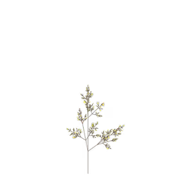 Dwarven Sunflower