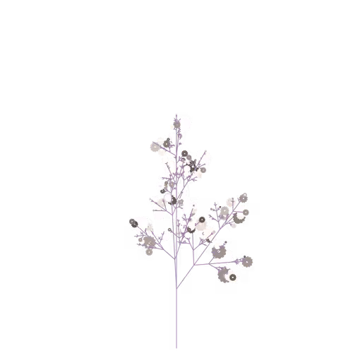 Nubloomfractal