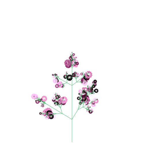 Nubloomfractal