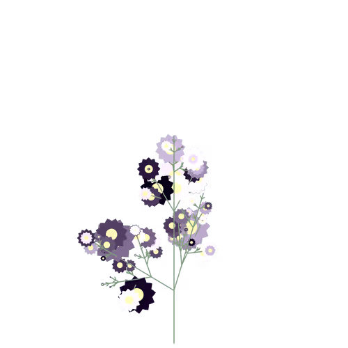 Nubloomfractal