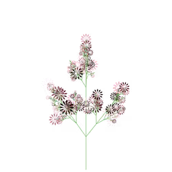 Harmless Inkberry
