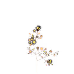 Dawn Nettle