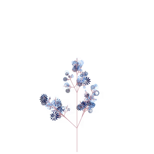Nubloomfractal
