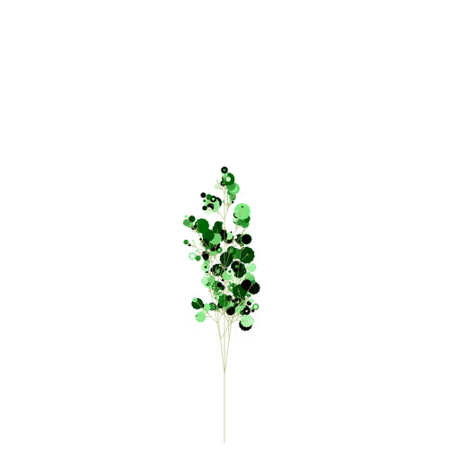 Nubloomfractal