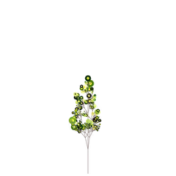 Blue Ragweed