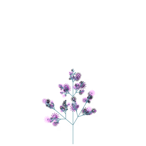 Nubloomfractal