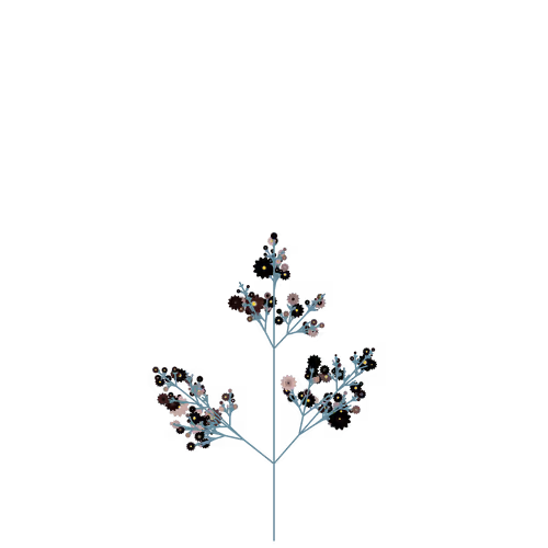 Nubloomfractal