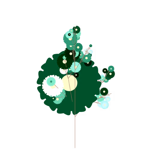 Nubloomfractal