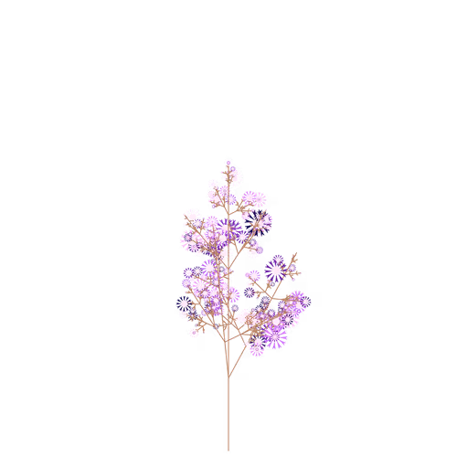 Nubloomfractal