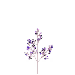 Banshee Mulberry