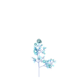 Regal Gutweed