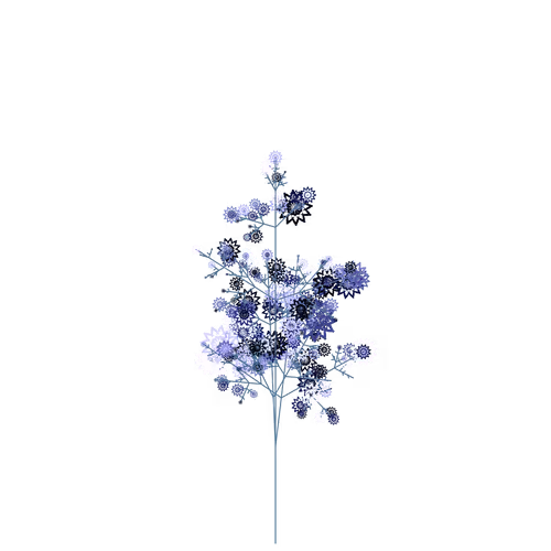 Nubloomfractal
