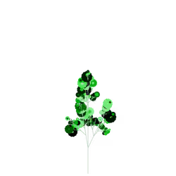 Angel's Thistle