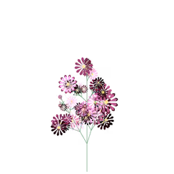 Coughing Thimbleberry
