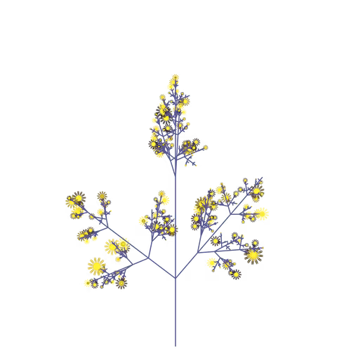 Arching Azolla