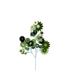 Swamp Bamboo