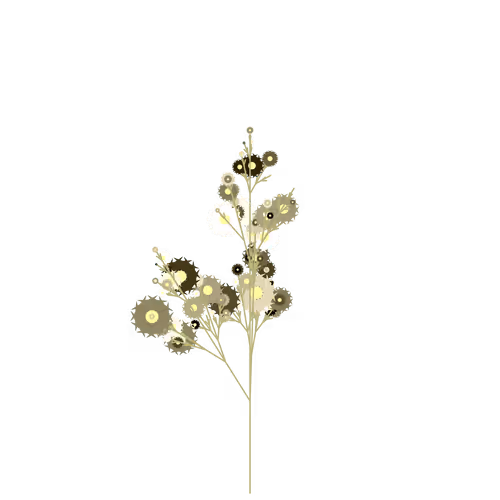 Nubloomfractal