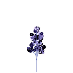Abyss Bush