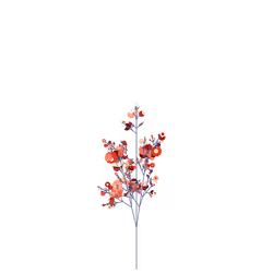 Candy Thousand-leaf