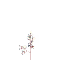 Shadow Raspberry