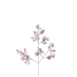 Banshee Hibiscus