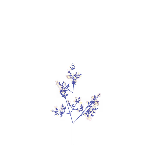 Elven Bloom