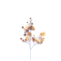 Prancing Harlequin