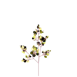 Bouncing Root