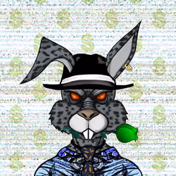 HazyHare #6743