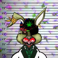 HazyHare #9511