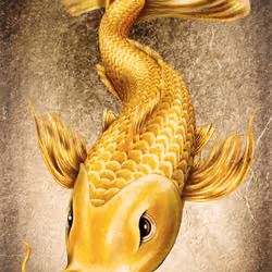 Fukushima Fish #510