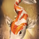 Fukushima Fish #3853