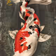 214