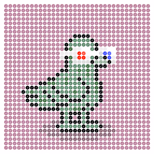 Checkbirbs