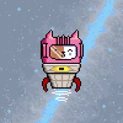 Astro Kitty Cone #9
