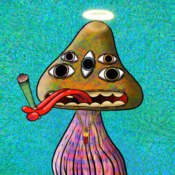 41