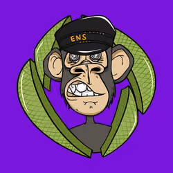 ENS Ape Yacht Club #5577