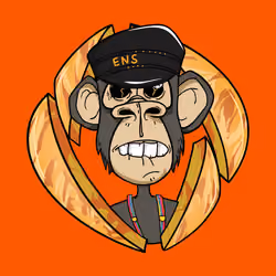 ENS Ape Yacht Club #13