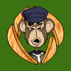 ENS Ape Yacht Club #2087