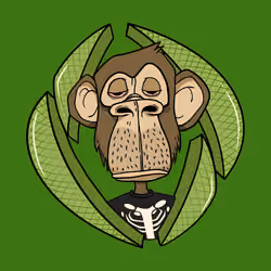 ENS Ape Yacht Club #5052