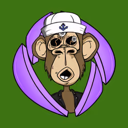 ENS Ape Yacht Club #9314