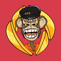 ENS Ape Yacht Club #2600