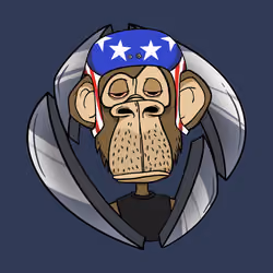 ENS Ape Yacht Club #9138