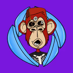 ENS Ape Yacht Club #1858