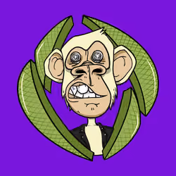 ENS Ape Yacht Club #14