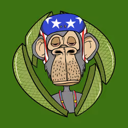 ENS Ape Yacht Club #7515