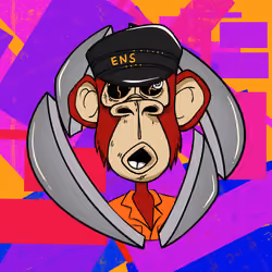 ENS Ape Yacht Club #5332