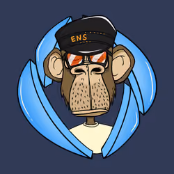 ENS Ape Yacht Club #2564