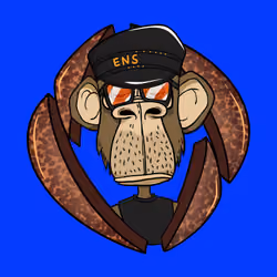 ENS Ape Yacht Club #2015