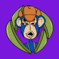 ENS Ape Yacht Club #3363